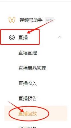 能回放的电视直播软件