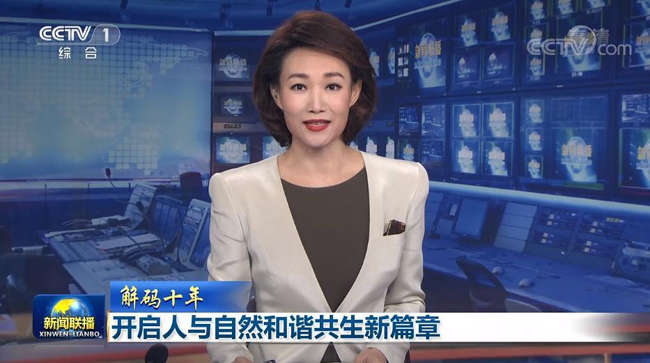 丽水新闻综合频道直播