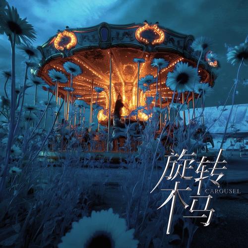 抖音旋转木马背景音乐