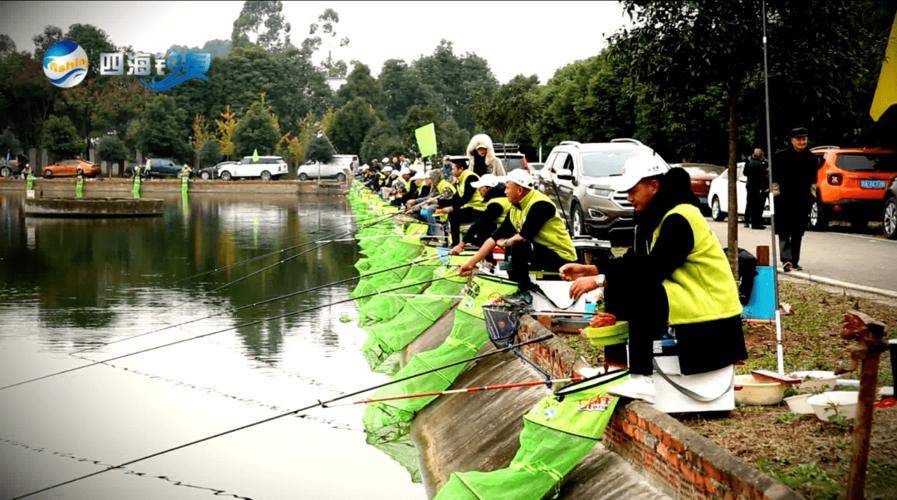 四海钓鱼频道直播在线