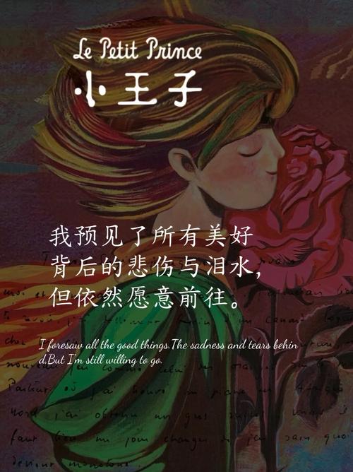 中国好声音抖音小王子