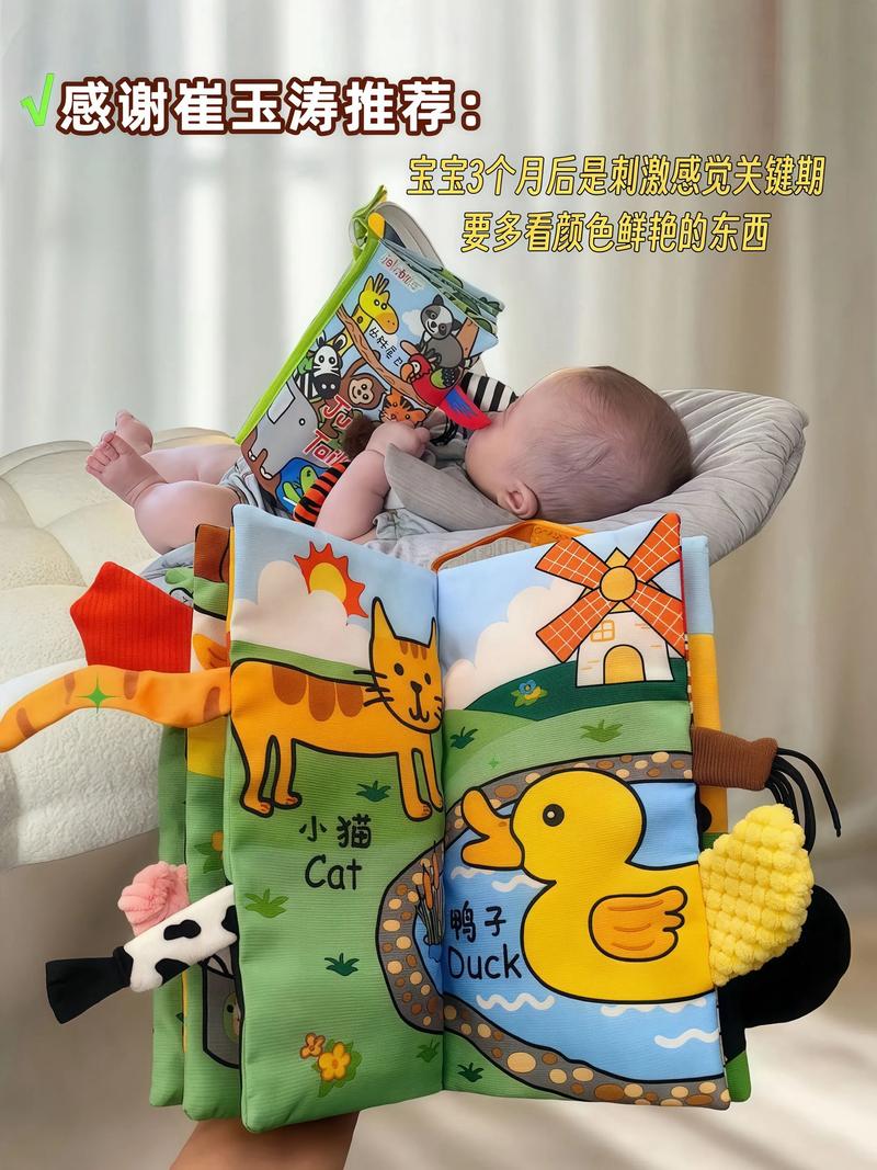 抖音小熊布书视频教程