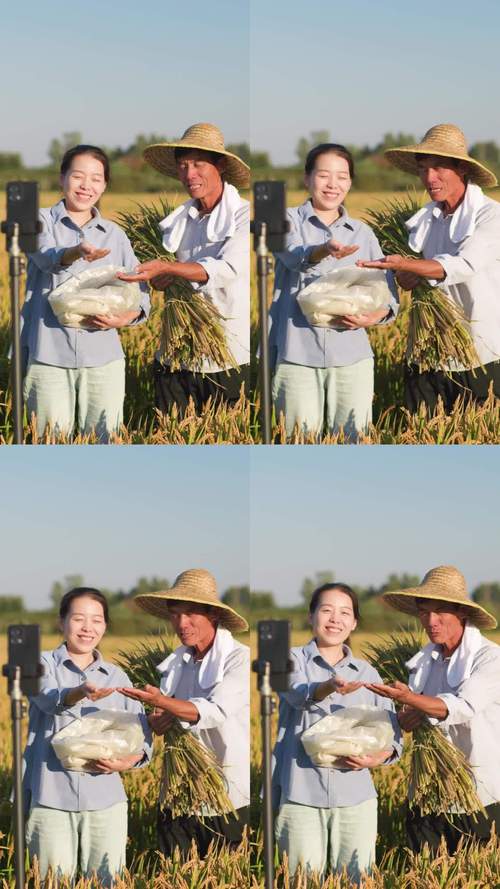 直播农民频道在线观看