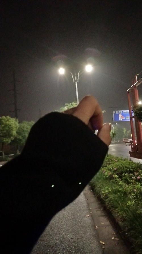 快手上海谁欲争锋id