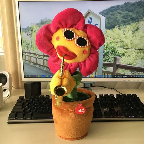 抖音太阳花音乐多少钱