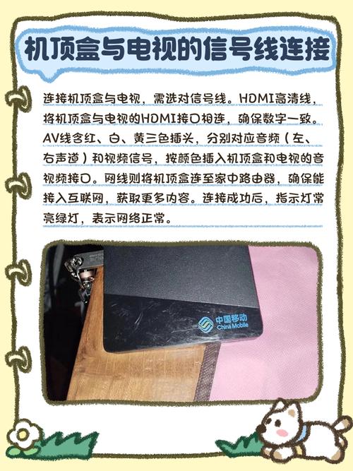 网络机顶盒能看直播吗