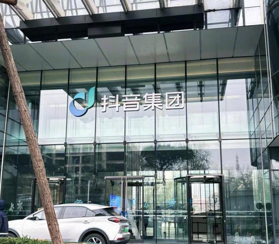 有哪些抖音刷赞的公司