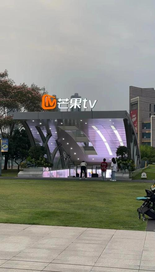 湖南卫视在线直播华龙