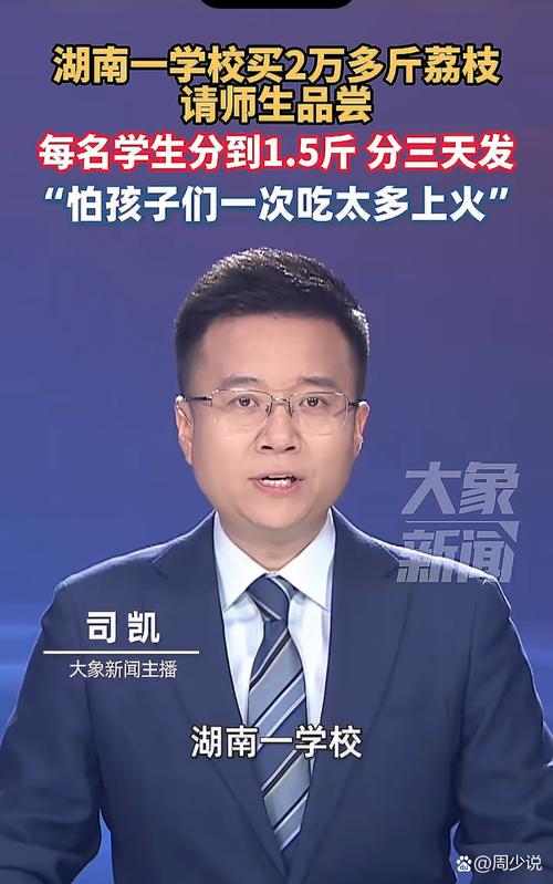 湖南卫视在线直播华龙