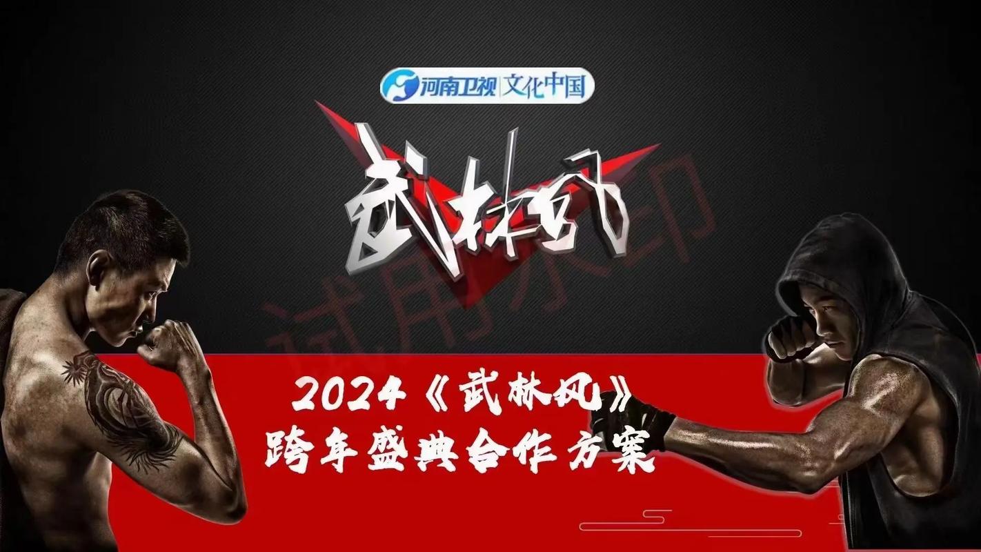 河南电视台武林风直播