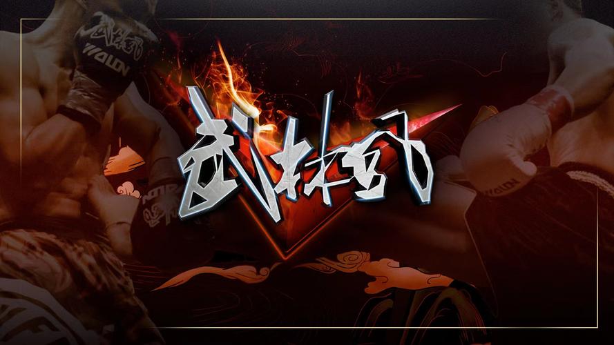 河南电视台武林风直播