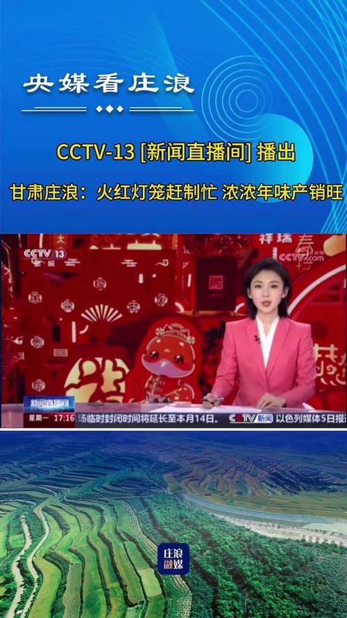 中央电视台直播13套