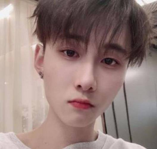 快手红人王乐乐的qq