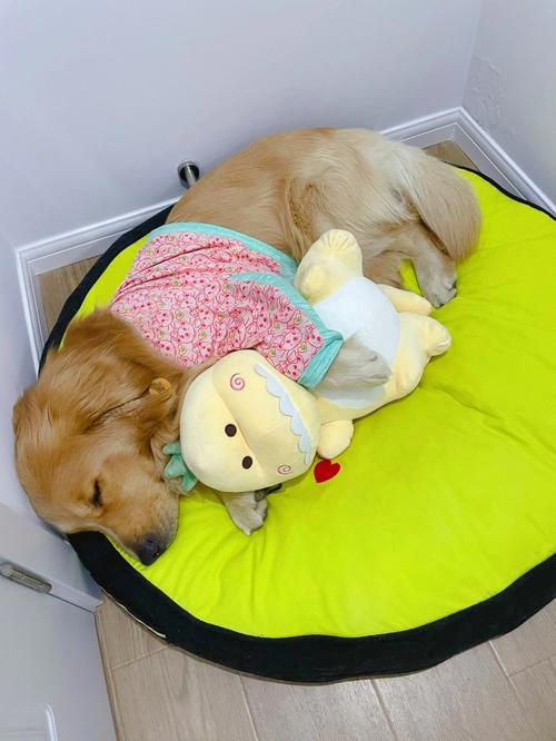 抖音玩具熊抱小孩睡觉