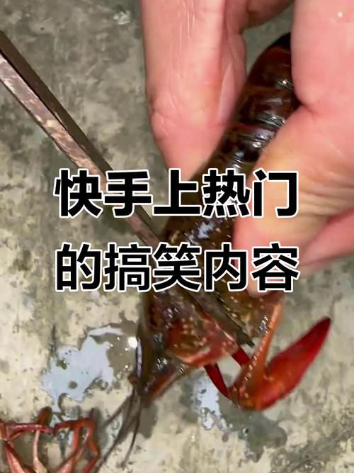 快手视频怎么能上热门