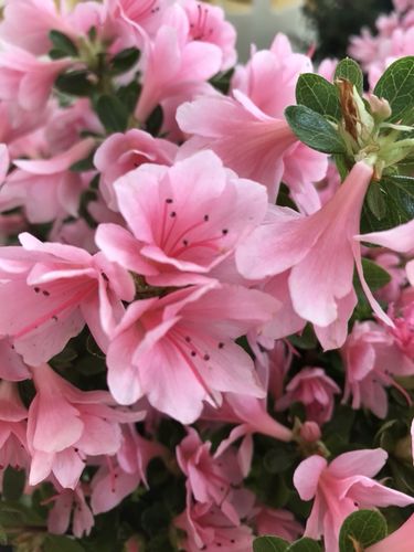 快手怎么到同城的前面