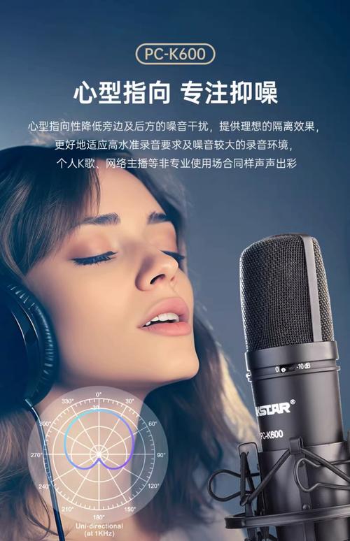 直播专用的麦克风.