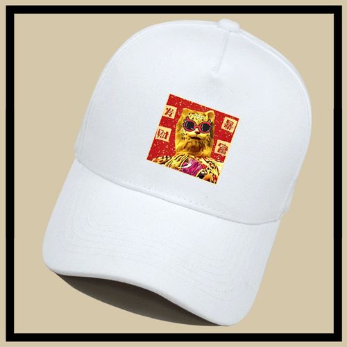 快手金钱豹双胞胎id