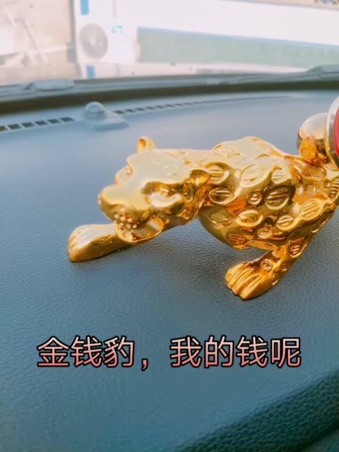 快手金钱豹双胞胎id