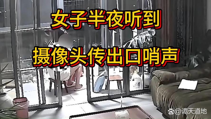快手直播摄像头是反的