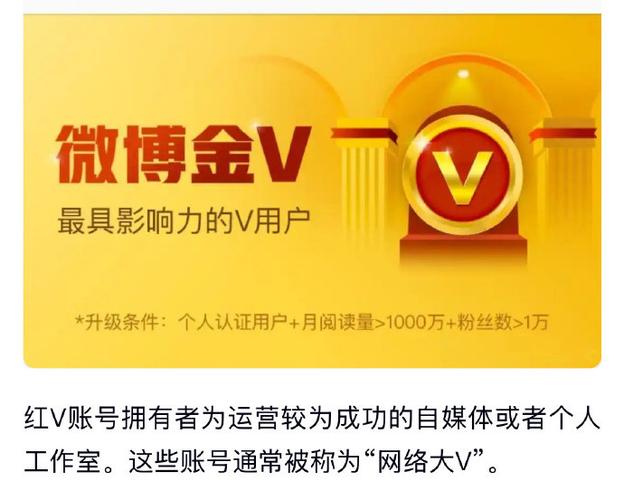 快手加v是什么意思啊
