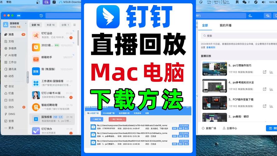 mac 怎么看直播