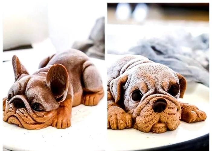 抖音里沙皮狗狗冰激凌