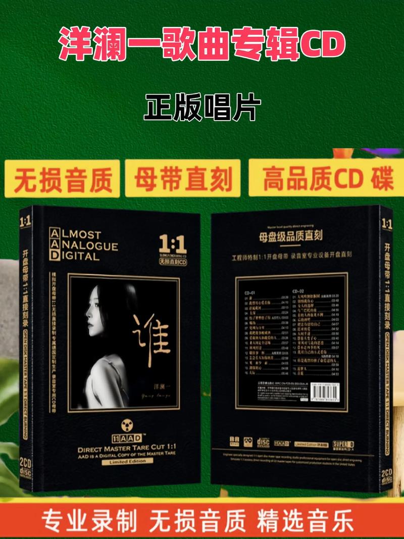 抖音热门歌曲车载cd