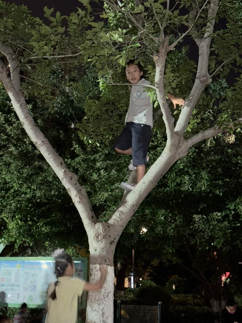 抖音上面猴子上树游戏