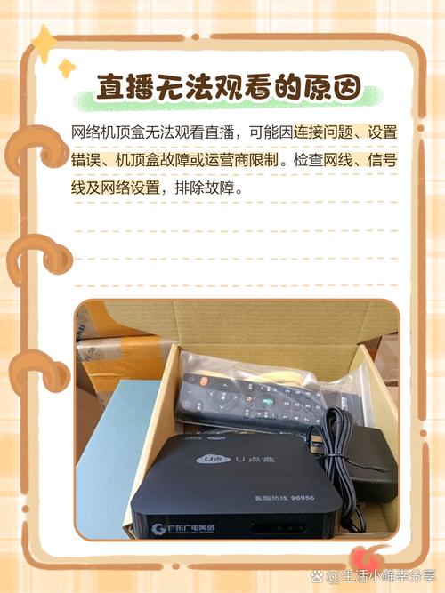 网络机顶盒 看直播