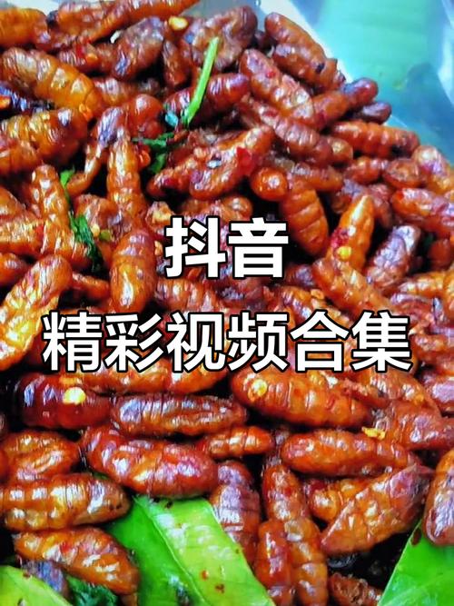 抖音段视频 抖音公民