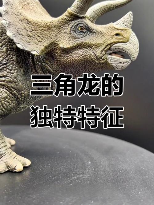 抖音上看的真三角龙
