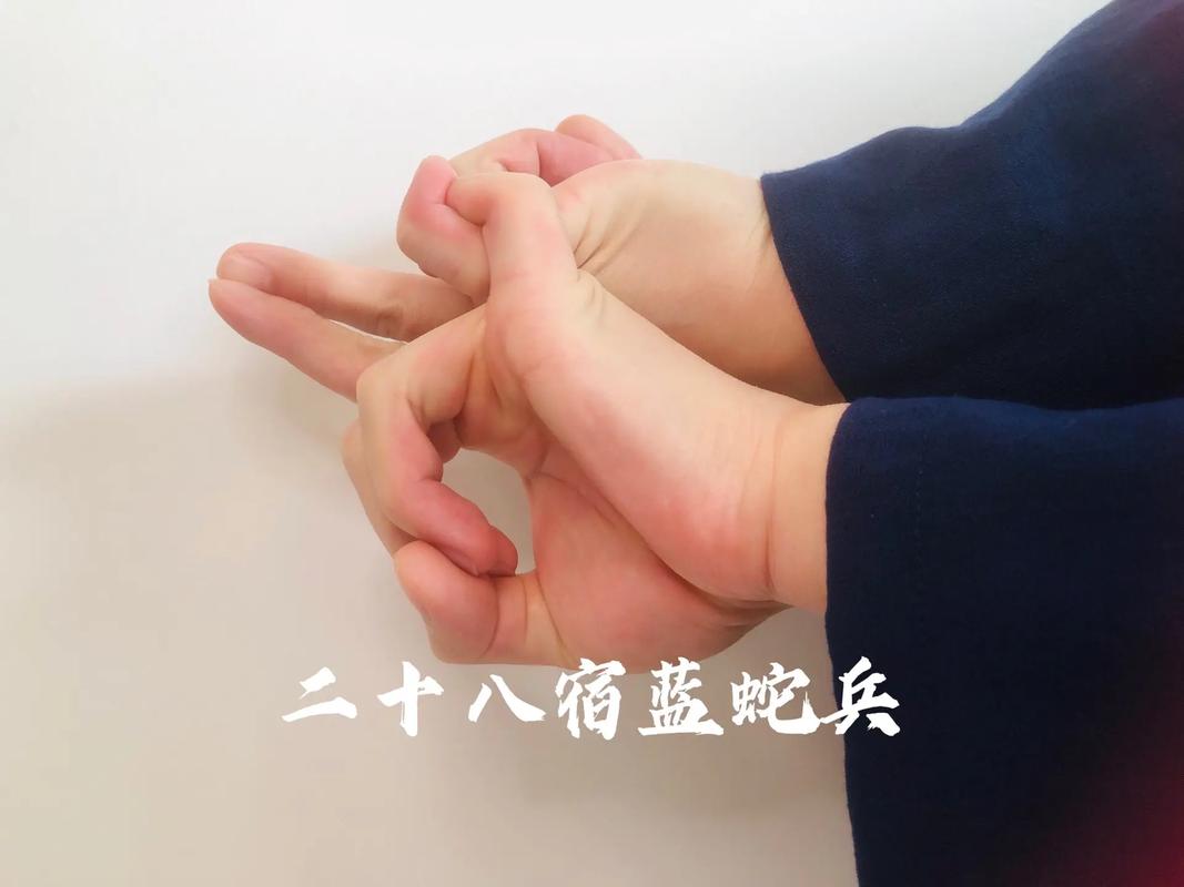 两只手指转胶圈抖音