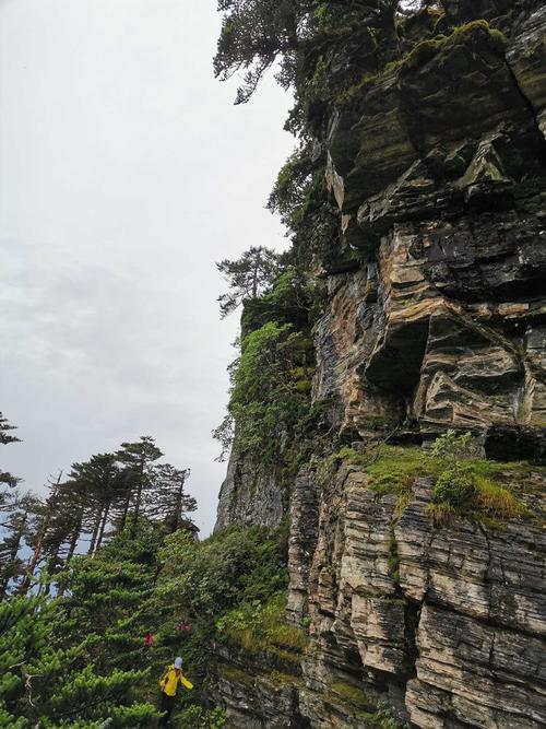 苍山电视台在线直播