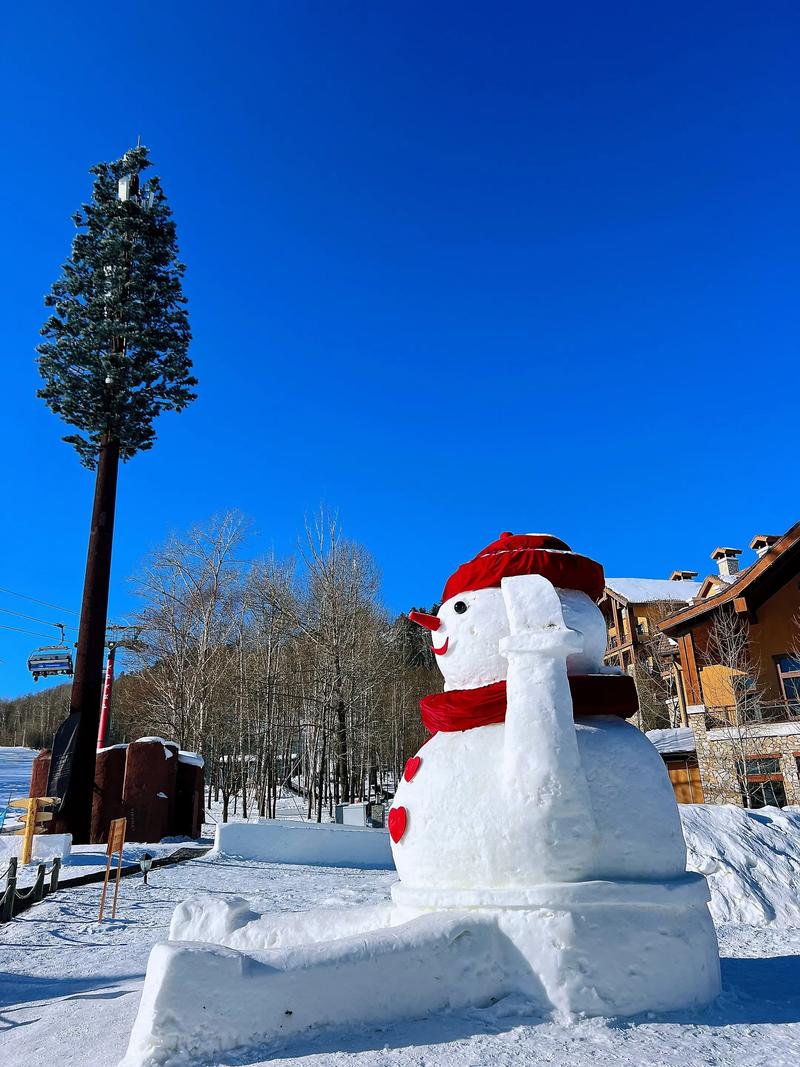 抖音上雪屋在哪个省