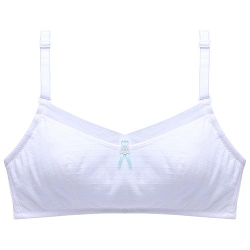 森之鼓内衣视频直播