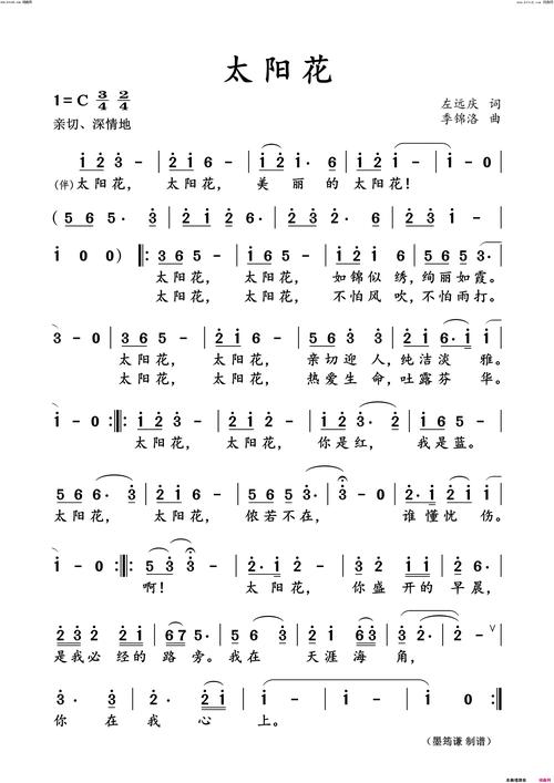 抖音上的太阳花的歌