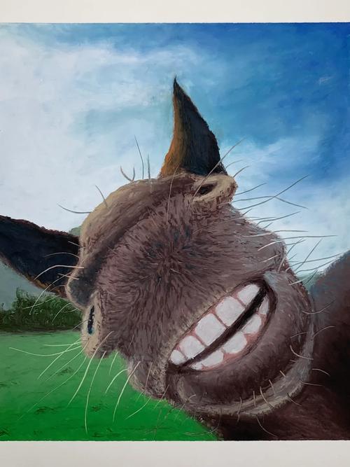 抖音超火会说话的驴