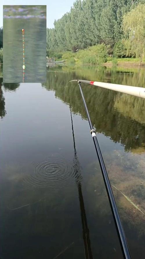 钓鱼摄像头视频直播