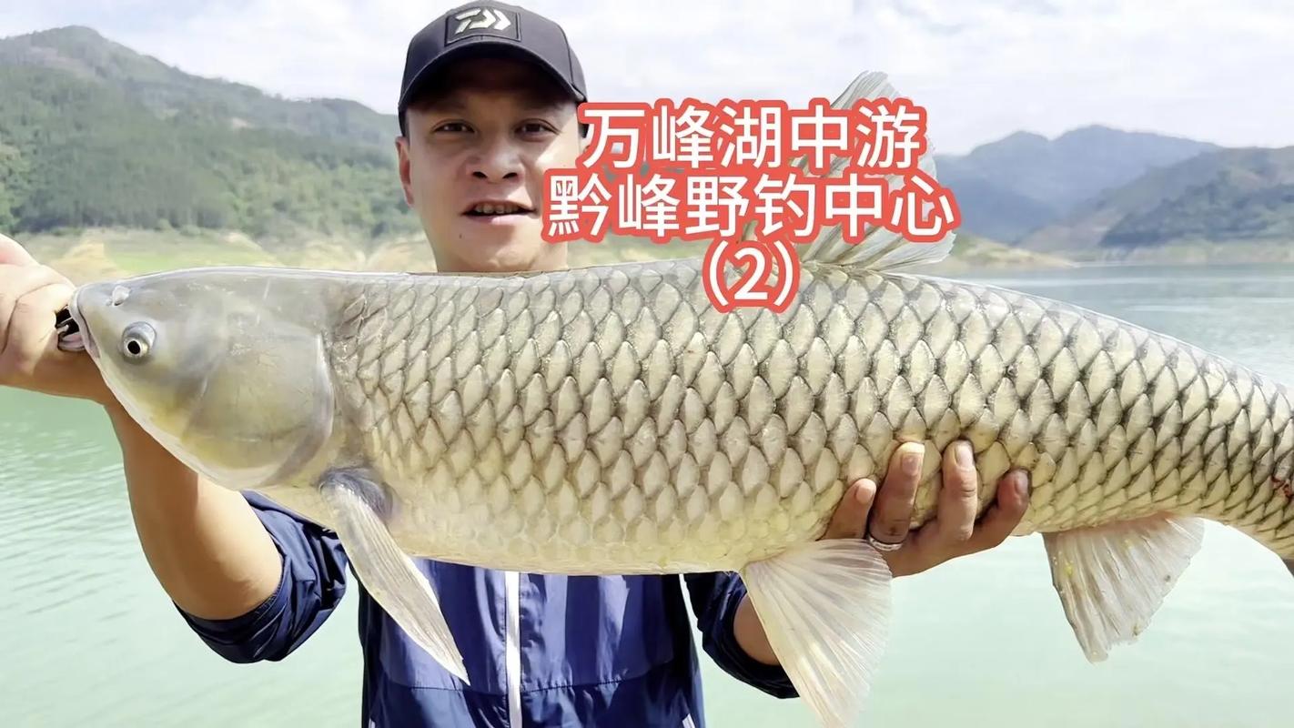 黑龙江钓鱼视频直播