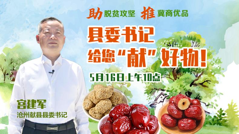 献县电视台在线直播