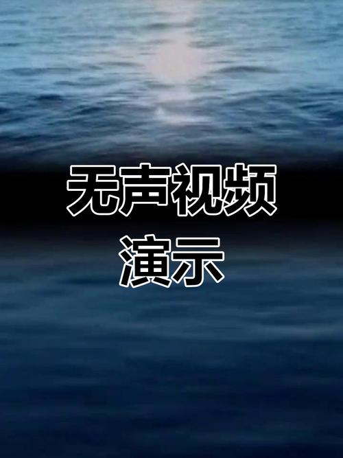 快手录视频说话没声音