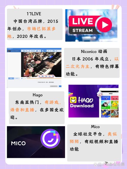 美国用什么直播软件