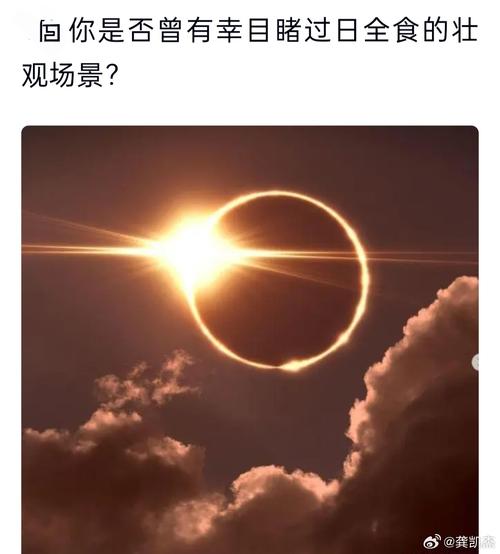 美国日全食直播视频