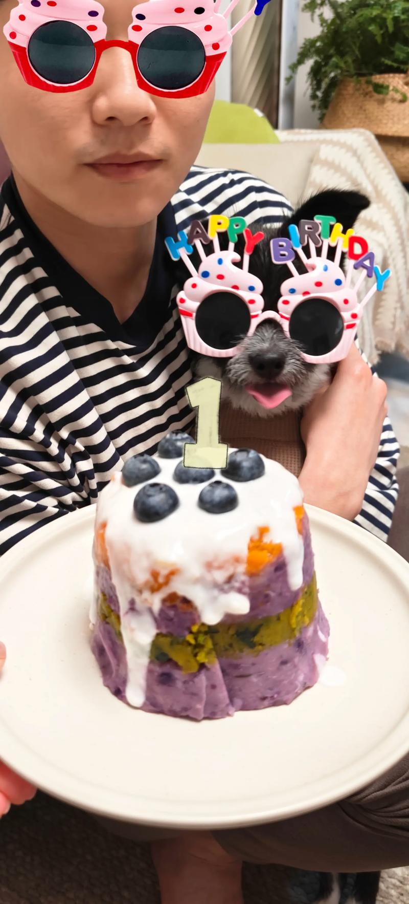 抖音小狗狗蛋糕加盟