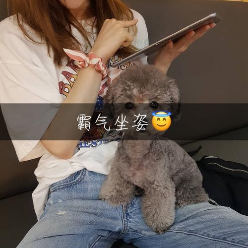 快手南时代是什么意思