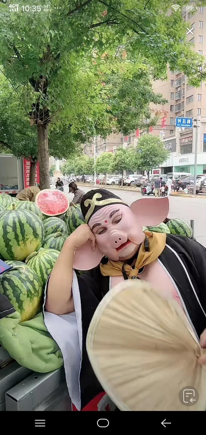 抖音的猪八戒吃西瓜