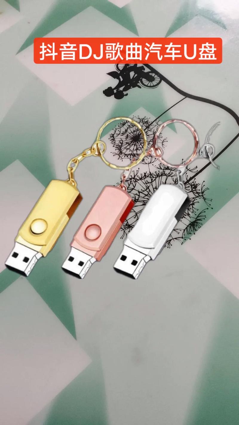 抖音u盘是什么意思