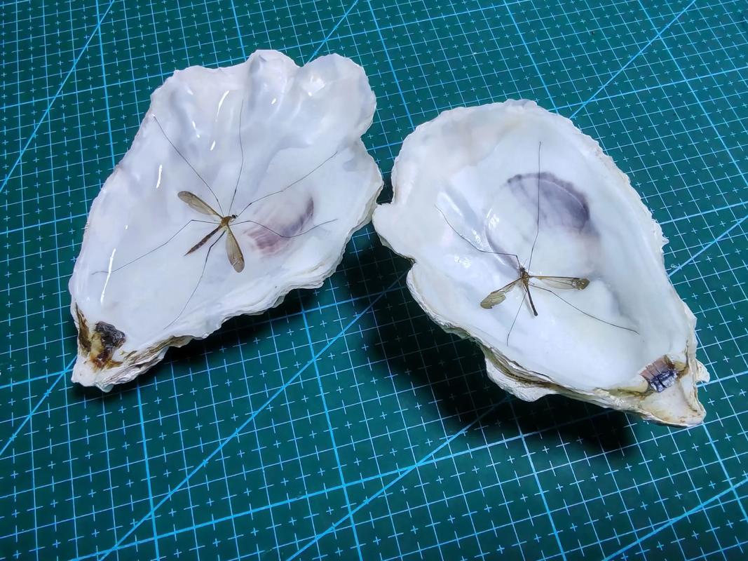 抖音上做树脂滴胶的