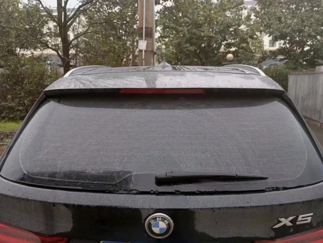 车后挡风玻璃贴抖音